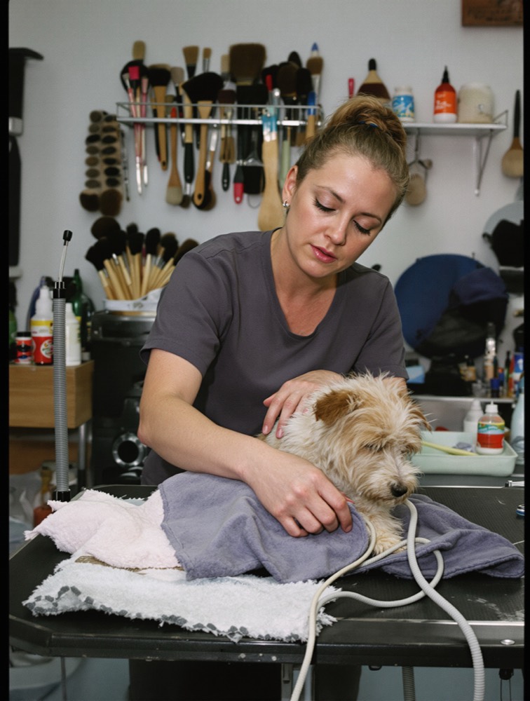 A groomer drying a small terrier on a grooming table, brushes on the wall behind her.